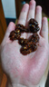 甘源牌蜜薯味琥珀核桃仁218g 坚果炒货特产休闲零食干果每日坚果0添加 实拍图