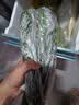 京鲜生&听蔬 山东有机刺黄瓜1斤 有机认证沙拉凉拌蔬菜食材 源头直发 实拍图