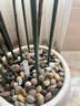 墨一【送货上门】爬藤架葡萄黄瓜豆角架种菜花支架庭院园艺花卉支撑杆 粗11mm长150cm10支 特大 实拍图