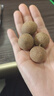 十月稻田 桂圆干 500g 带壳桂圆肉 龙眼肉干 枸杞红枣泡茶八宝粥 零食干货 实拍图