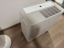 美的（Midea）54升小方物除湿机100㎡家用梅雨天抽湿机干衣机 地下室泵压上排水除湿器CF54BS/DA (支持鸿蒙智联) 实拍图