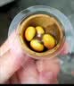 星球杯乐乐蛋巧克力25g*12个 野生动物奇趣玩具蛋 儿童零食幼儿园小礼物 实拍图