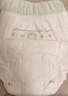 babycare金山茶花拉拉裤XL34片(12-17kg)婴儿尿不湿超薄透气新生柔花苞裤 实拍图