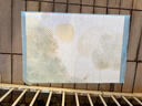 HONEYCARE好命家宠物尿垫猫狗尿片 训导防漏尿布 加厚狗狗厕所垫M码45*60cm 实拍图