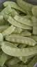 云南荷兰豆新鲜的现摘蔬菜批发当季脆嫩豌豆荚青豆角甜豆农家自种 新鲜现摘荷兰豆-带箱2斤（净重1.8斤） 实拍图