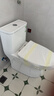 九牧（JOMOO）11173-2-1/31KD-3大力神家用马桶虹吸抗菌节水洁具305坑距 实拍图