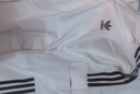adidas经典三条纹运动连帽夹克外套男女春季阿迪达斯三叶草   亮白   M 实拍图