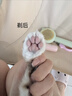 先锋（SINGFUN）宠物剃毛器猫咪专用剃脚毛器静音狗狗脚毛修剪器宠物店局部推子小猫猫爪一体机电推剪【价保618】 实拍图