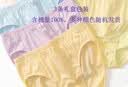 蝶安芬（Deanfun）女士内裤女加大加肥全棉中高腰舒适女式三角裤3条礼盒装 L 实拍图