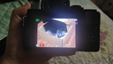 松下（Panasonic）Lumix G100D M43画幅相机 M43卡口 微单相机 无反数码相机 G100D+【12-60+25F1.7】双白盒套装 实拍图