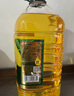 西王 食用油 玉米胚芽油6.18L 非转基因物理压榨 （新老包装随机发） 实拍图