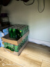 可口可乐（Coca-Cola）檀健次代言 雪碧Sprite零卡无糖饮料 330ml*24摩登罐 实拍图