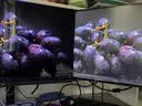 KTC 27英寸4K黑曜屏 3A原画QD-MiniLED HDR1400 2304分区160Hz双模320Hz Type-C 65W电竞显示器M27P6S 实拍图