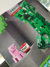 乐高（LEGO）积木我的世界21276 苦力怕男女孩玩具六一儿童节礼物家居装饰摆件 实拍图