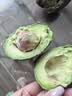 正宗进口秘鲁哈斯牛油果孕妇水果宝宝辅食进口鳄梨整箱批发价 6个装 单果净重130-160克（礼盒装） 实拍图