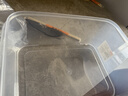 禧天龙冰箱保鲜盒食品级冰箱收纳盒塑料密封盒蔬菜水果冷冻盒 7.3L 实拍图