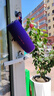 JBL FLIP7 音乐万花筒七代 蓝牙音箱 户外音响 AI音效增强 赛道扬声器 iphone17pro适用 罗兰紫 实拍图