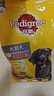宝路狗粮老年犬狗粮 7岁以上牛肉味1.8KG*8全犬种通用14.4kg全价粮 实拍图
