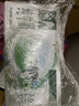 伊利【新鲜日期】金典纯牛奶整箱 200ml*12盒 3.6g乳蛋白礼盒装 2月 实拍图