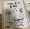 2册《花卉动物速写描摹本》零基础画画入门新手自学教程书籍线描花卉临摹手绘初学者学绘画教材铅笔画素描速写 实拍图