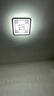 雷士（NVC）LED灯盘吸顶灯替换灯芯灯板磁吸光源模组环形灯管62瓦白光6500K 实拍图
