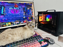 AMD R5 5600/9600X/RX7650GRE/6500XT迷你主机ITX整机手提DIY电脑组装机台式mini办公台式机AI PC电脑 配置九丨R5 9600X/RTX5060 实拍图
