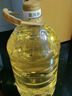 金龙鱼 食用油 非转基因 物理压榨玉米油6.18L（蕴含植物甾醇） 实拍图
