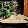 太守堂水蛭粉 100%纯粉破血通经清水蚂蝗粉现磨罐装30克 实拍图