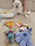 贵为（GiGwi）狗狗玩具毛绒发声幼犬玩具耐咬磨互动玩具小型犬宠物玩具 实拍图