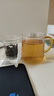 雅集茶具耐热玻璃过滤加厚茶杯玻璃水杯锤纹玻璃杯茶水分离杯泡茶杯子 实拍图