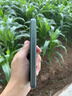 中兴（ZTE）U30 Air 5G免插卡移动随身wifi无线网卡便携式热点5g路由器无限笔记本电脑通用流量车载卡托2025款 实拍图