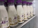 每日鲜语鲜牛奶 A2β-酪蛋白鲜牛奶185ml*6 巴氏杀菌乳 低温鲜奶 实拍图