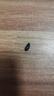 喜帅小油葵瓜子鹦鹉零食磨牙粮食仓鼠饲料鸟食黑珍珠瓜籽虎皮玄凤500g 实拍图