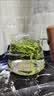 中婺春雨茶叶绿茶浙江茗茶白茶2026新茶嫩芽春茶手采茶叶中秋送长辈礼500g 实拍图