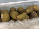 佳沛（zespri）新西兰 金果30-33粒原箱单果103-124g 端午礼物水果礼盒 猕猴桃 实拍图
