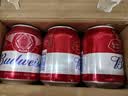 百威啤酒mini红罐淡色拉格255ml*12小罐整箱装京东自营喜酒618畅销 实拍图