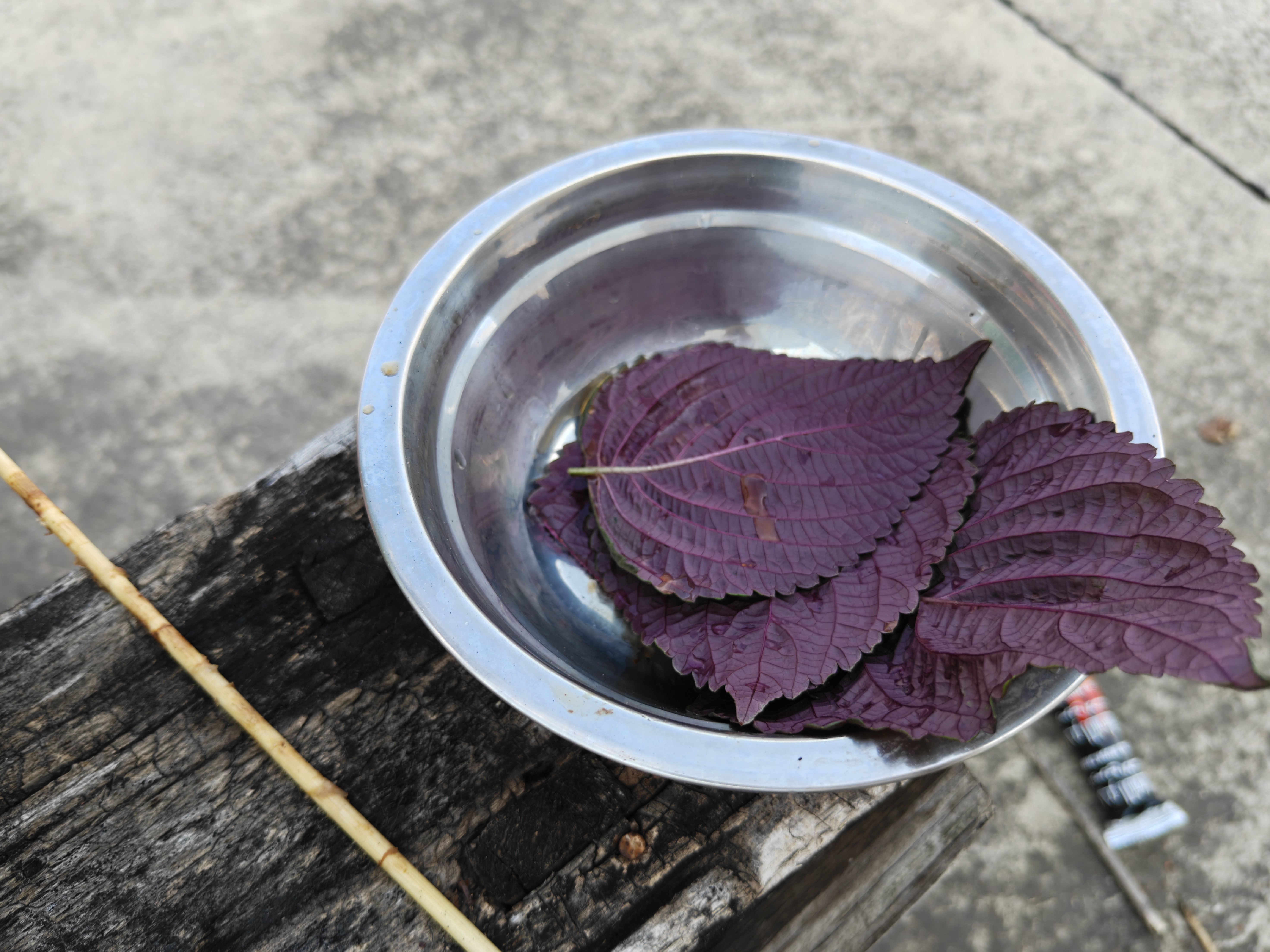 游牧御品五花肉串11支 烧烤食材 烤肉烤串 黑猪肉香脆不腻 五花肉片268g 实拍图