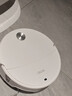 石头（roborock）【保价618】扫地机器人扫拖一体 P20 Max扫拖洗烘一体机 自动集尘热水洗拖布擦地拖地 A2950RR 实拍图