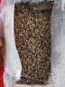 七格匠中蜂蜂群带王蜜蜂蜂群养殖带子脾阿坝中蜂带蜂箱中华土蜂 【笼蜂】产卵蜂王+3500工蜂+1脾 实拍图
