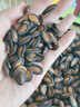 正林3A黑瓜子1200g/桶西瓜子五香味坚果罐装礼桶（新旧包装随机发货） 实拍图