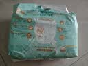 帮宝适（Pampers）一级帮拉拉裤婴儿尿不湿小内裤 XXL码32+4片【一级帮拉拉裤】 实拍图