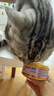麦富迪猫罐头 barf霸弗主食猫罐头湿粮成幼猫呵护泌尿100g*24罐 实拍图