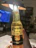 科罗娜（CORONA）特级啤酒330ml*24瓶啤酒整箱装经典拉格京东自营618热卖 实拍图