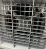 志高（CHIGO）空调扇工业冷风机强力制冷电冷风扇移动水冷空调加冰块商用冷气机大面积车间超强降温 实拍图