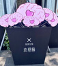 DOCO LAB小气泡黑头仪黑头铲黑头清理神器吸黑头清洁仪去黑头粉刺闭口收缩毛孔去黑头工具男生女生生日礼物 实拍图