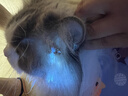 SHENYU伍德氏灯猫藓荧光检测UV黑镜紫光灯紫外线365nm手电筒照猫尿真菌 实拍图