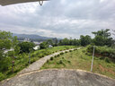 超威亮滑洁厕灵500g*2瓶 卫生间浴室厕所马桶清洁剂 柠檬香氛洁厕液 实拍图