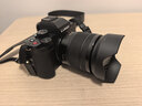 松下（Panasonic）Lumix G100D M43画幅相机 M43卡口 微单相机 无反数码相机 G100D+【12-60mm白盒】单镜套装 实拍图