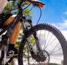 大行（DAHON）折叠山地车26英寸27速铝合金避震碟刹成人运动自行车XAA673M 消光黑 实拍图