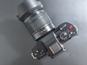 松下（Panasonic）Lumix G100D M43画幅相机 M43卡口 微单相机 无反数码相机 G100D+【12-60mm白盒】单镜套装 实拍图